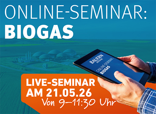 Bild Live Seminare